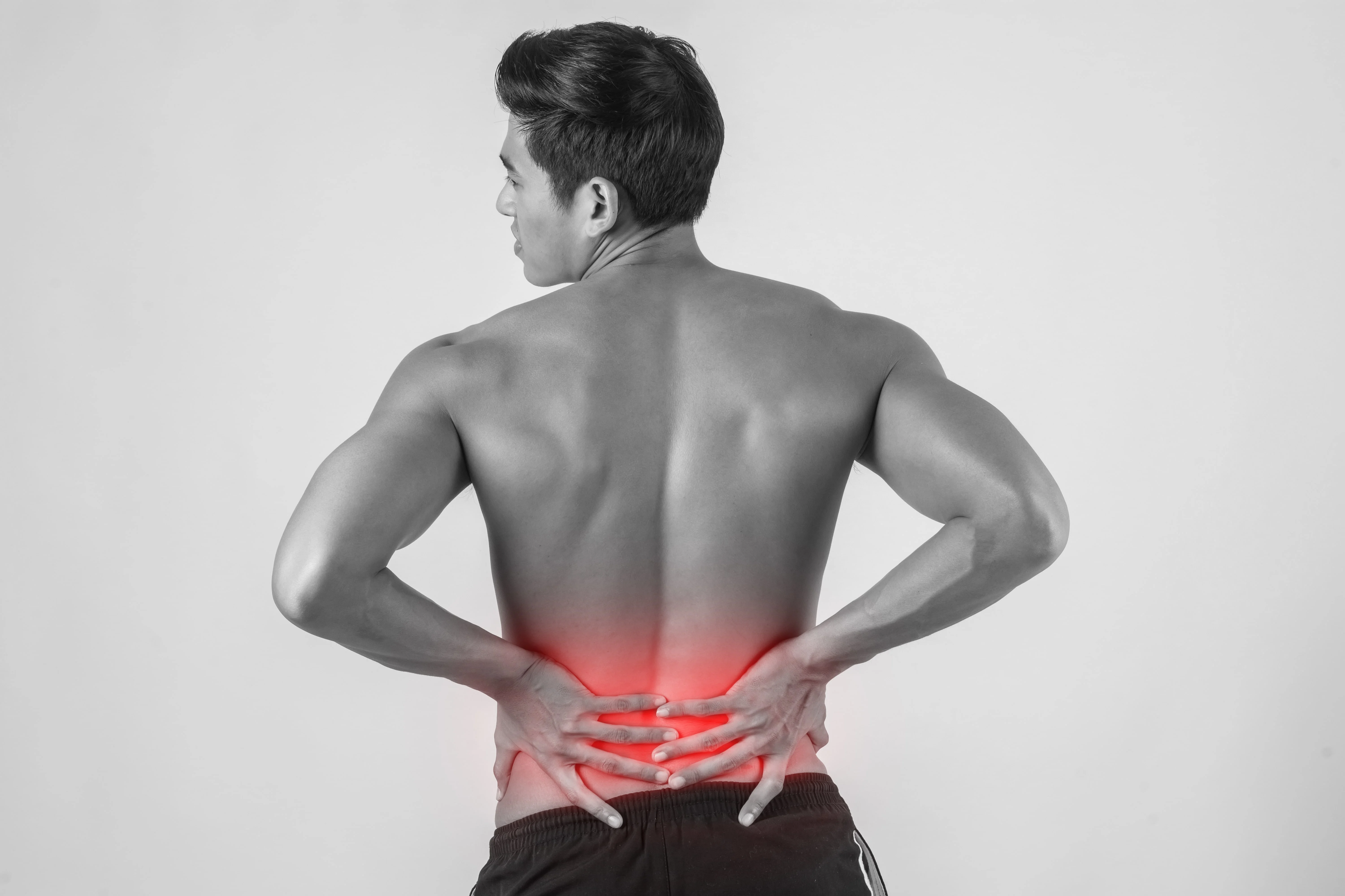 Low Back Pain / Dr. Leucterer Elif BERBER